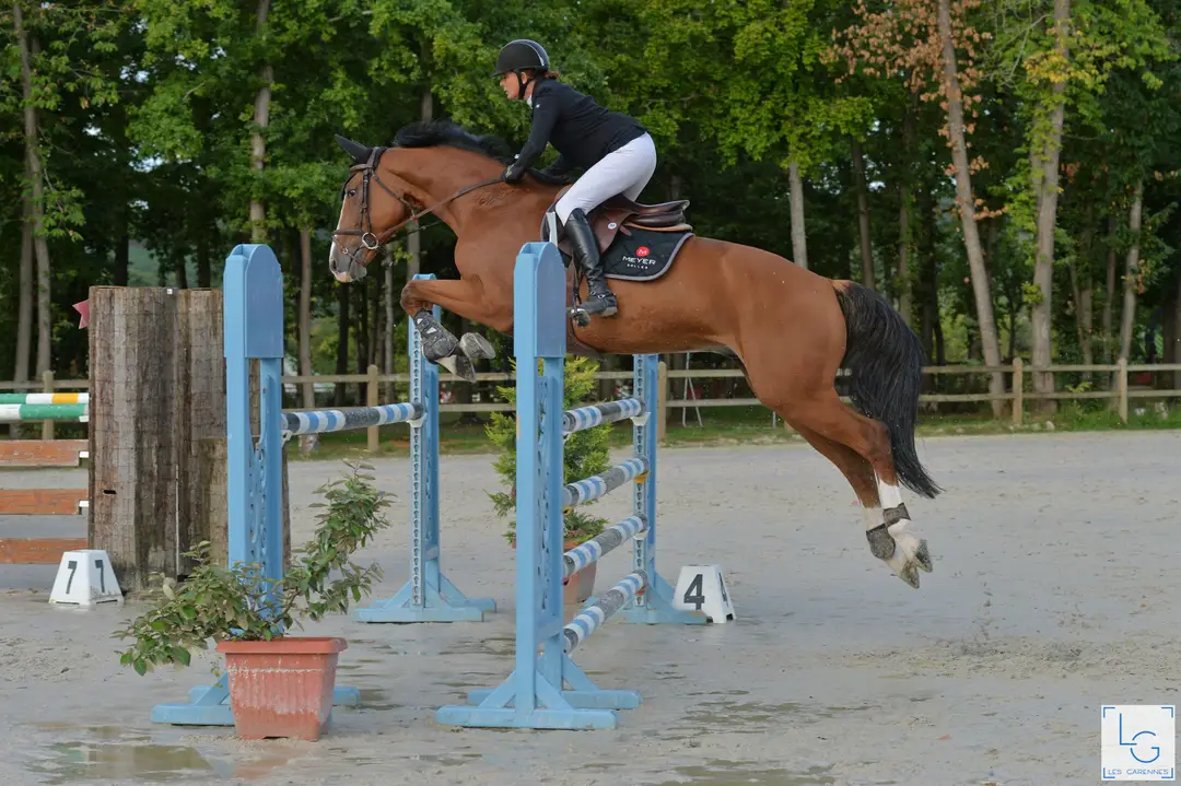 Equestrian Center L'escapade Ecurie Charlotte Rostin