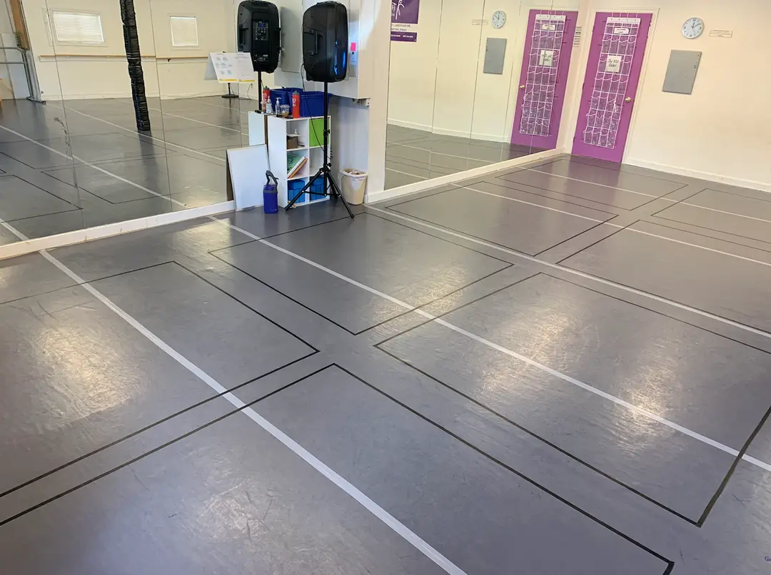 The DanceRoom