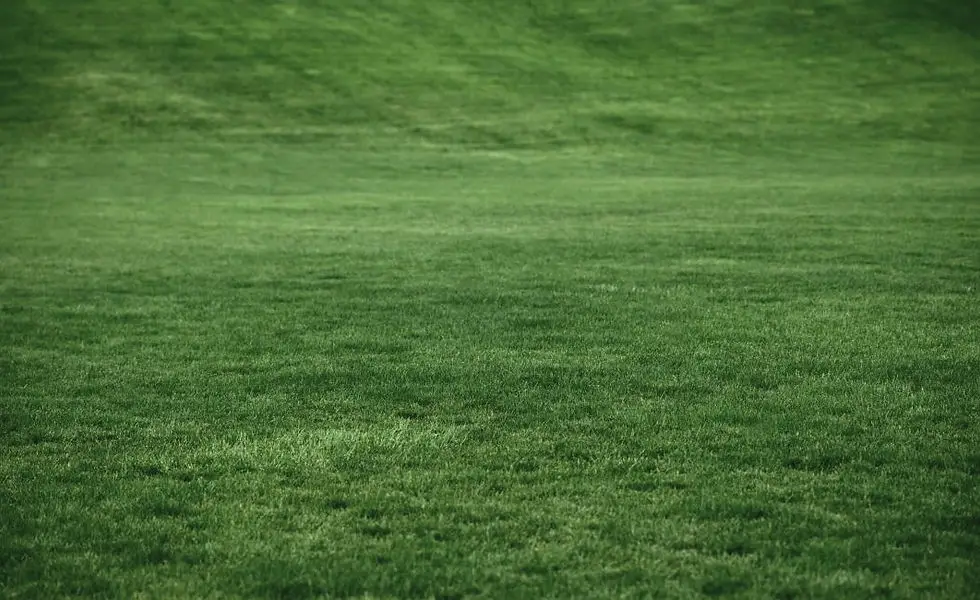 Center De Golf Fabreville Inc