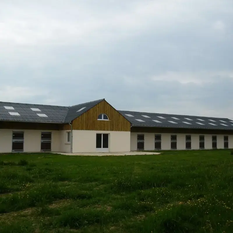 Polo De Campo