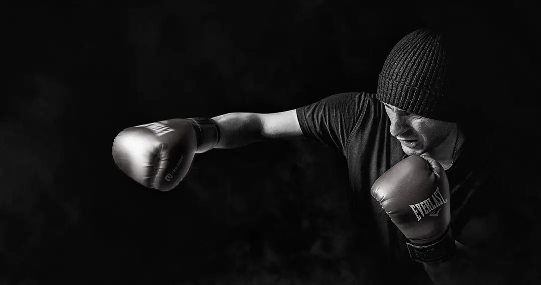 School Jeet Kune Do Concept