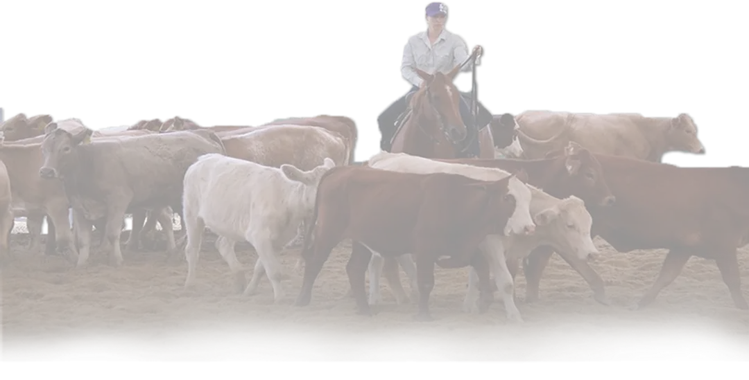 The Beaudesert Cutting and Western Performance Club