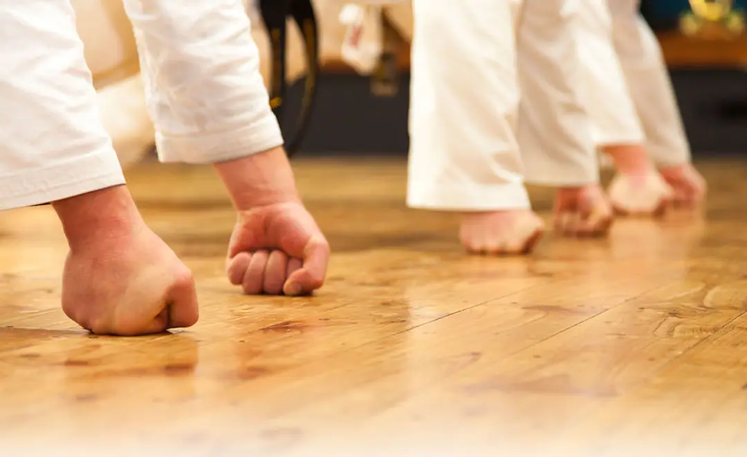 N Z Seido Karate Shibu
