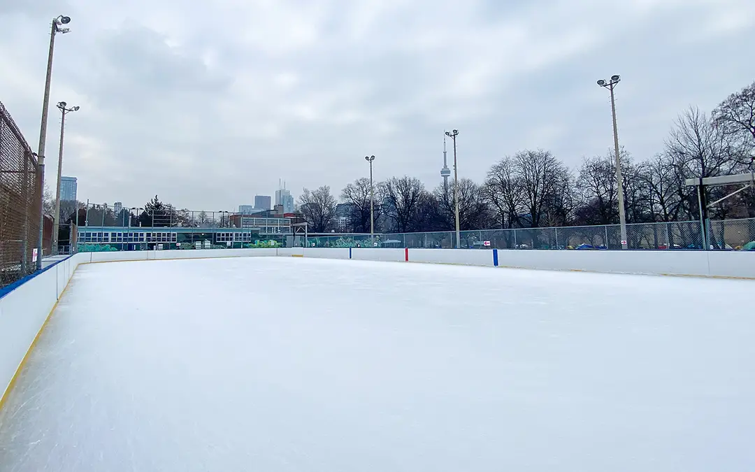 Harry Gairey Rink