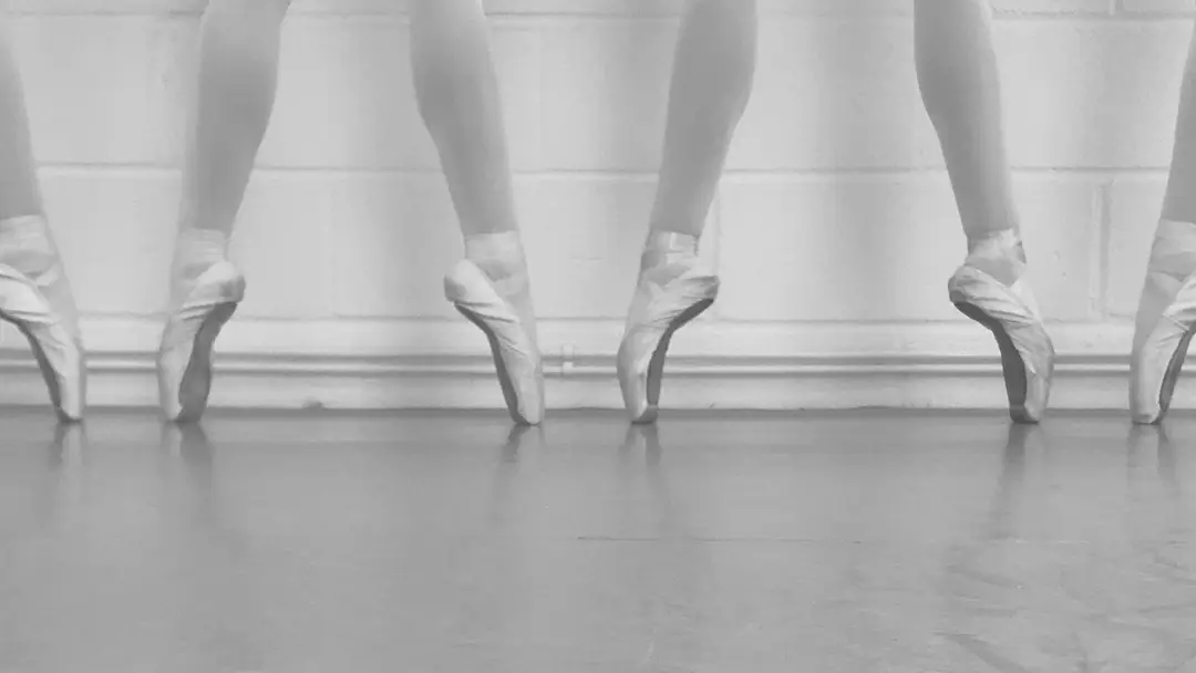 Dance Foundation