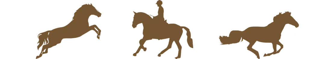 Parkside Stables Ltd