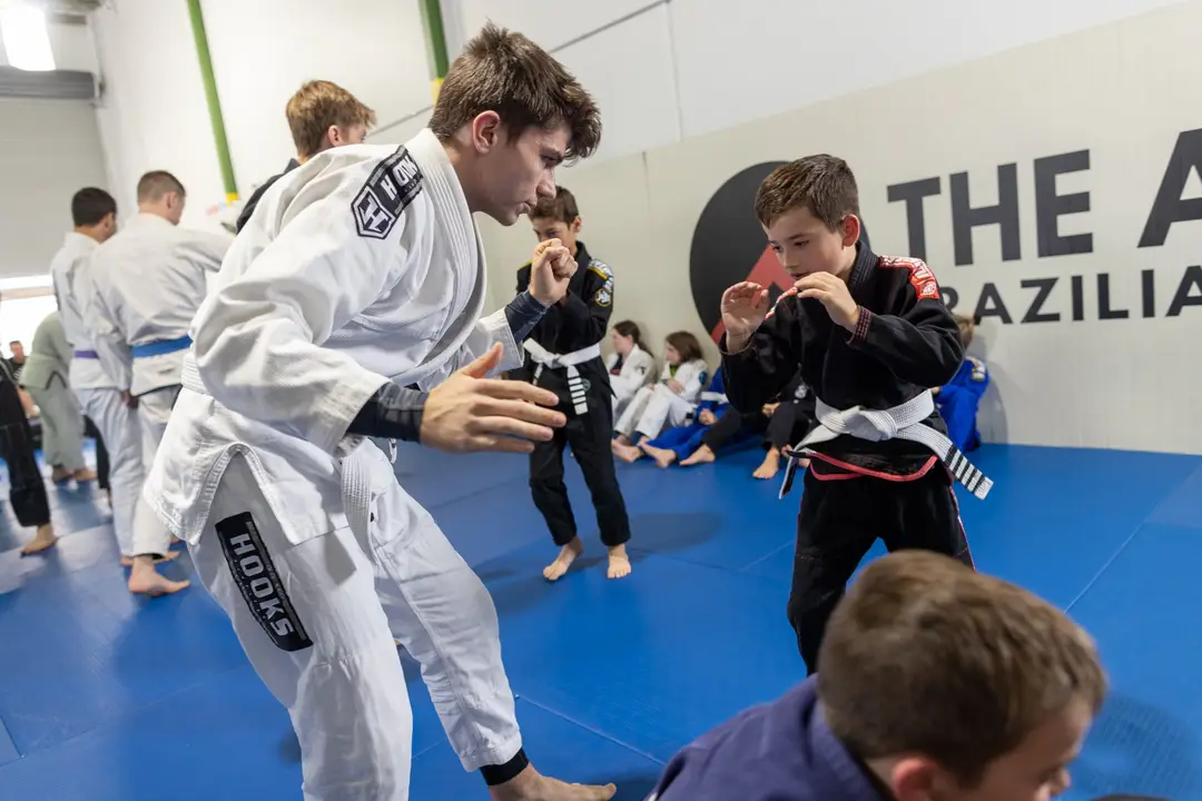 The Agoge Brazilian Jiu-Jitsu- Martial Arts School
