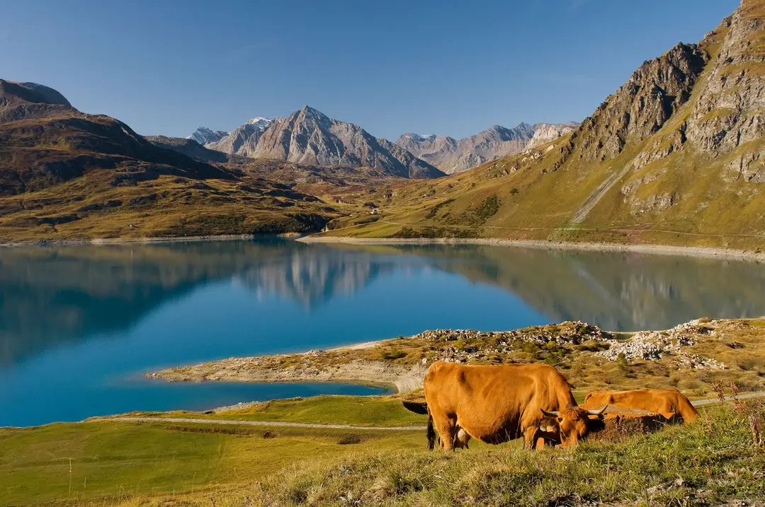 Fédération de Savoie pour la Pêche et la Protection du Milieu Aquatique