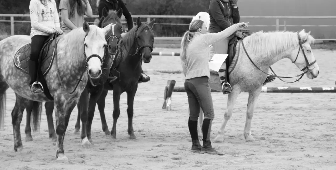 Equestrian Center - Les Ecuries De Mandy