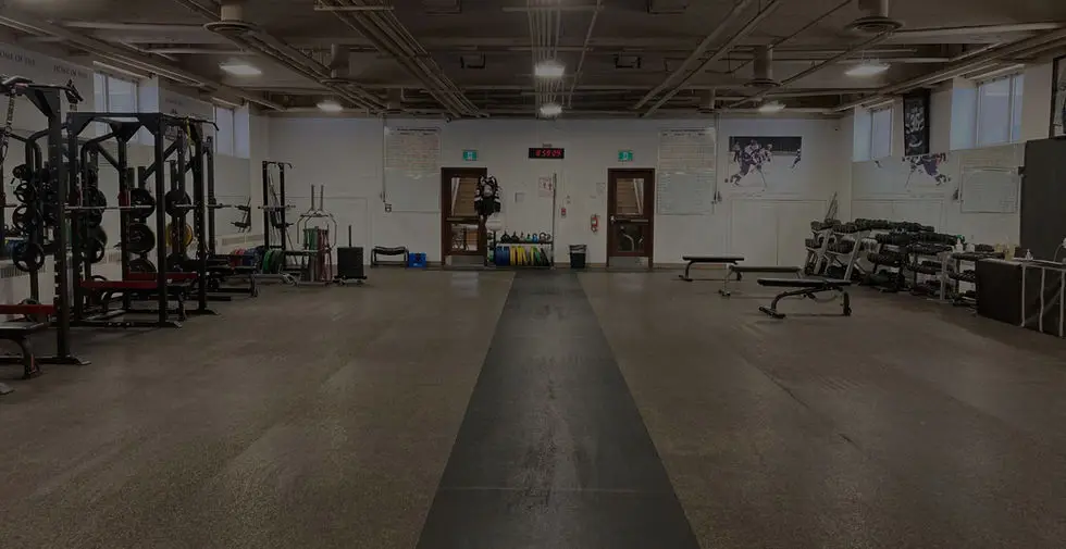 Synergy Fitness & Nutrition