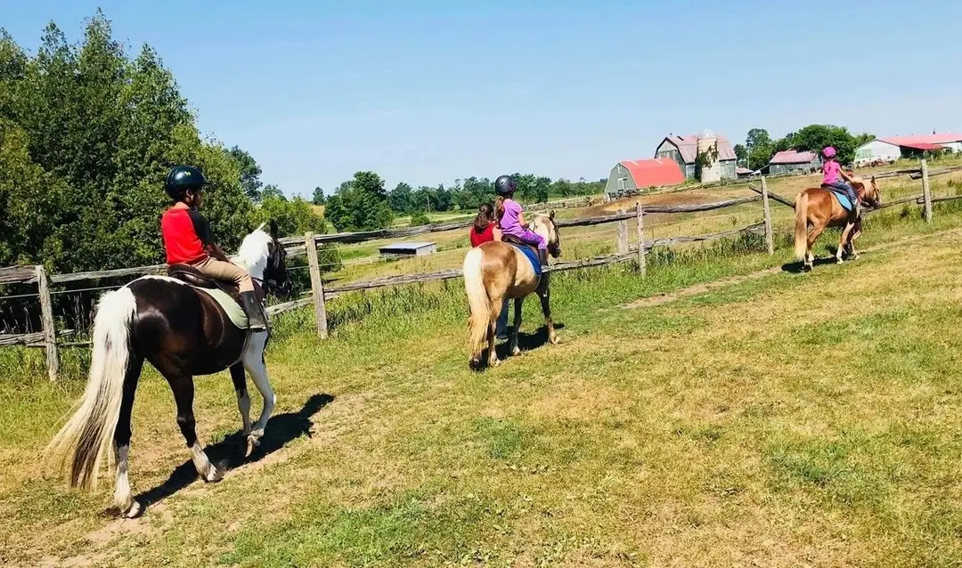 Cedarstone Farm