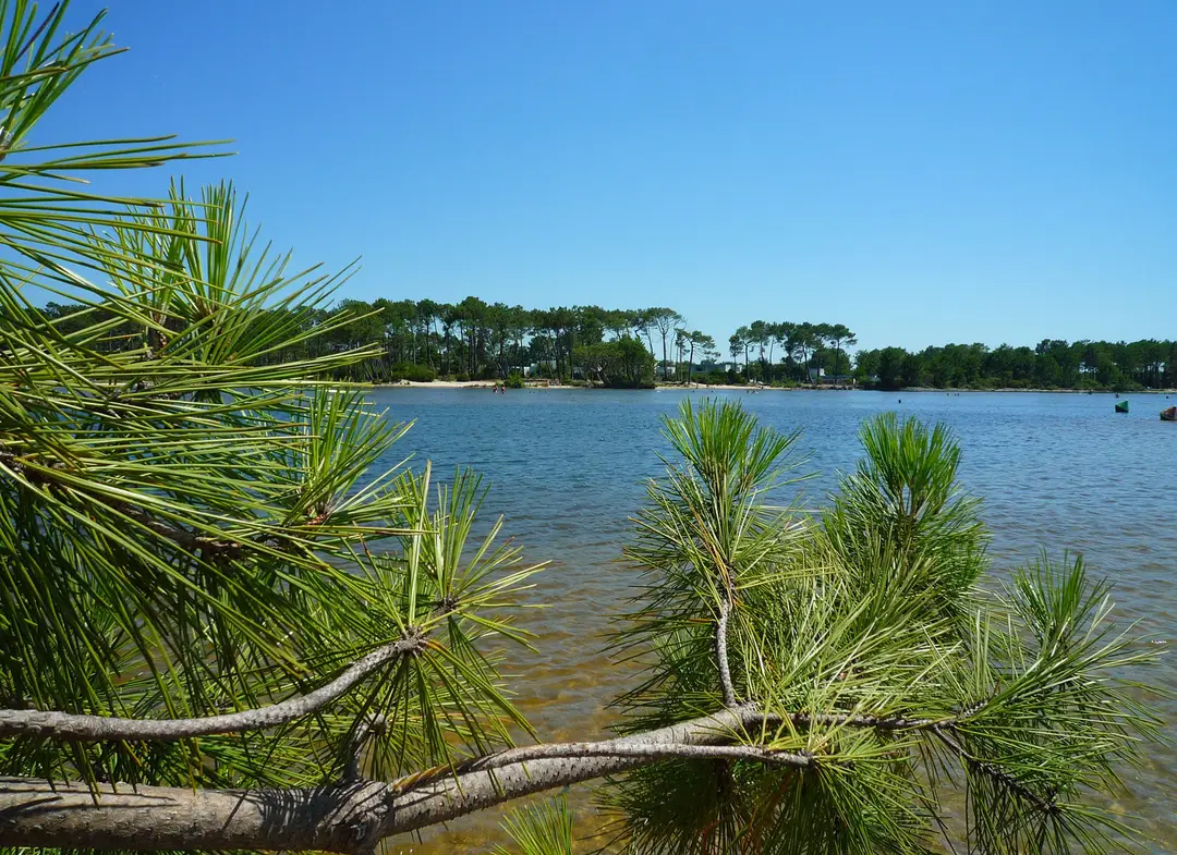 Cris Loisirs Location Stand Up Paddle Et Kayak Plage Du Moutchic