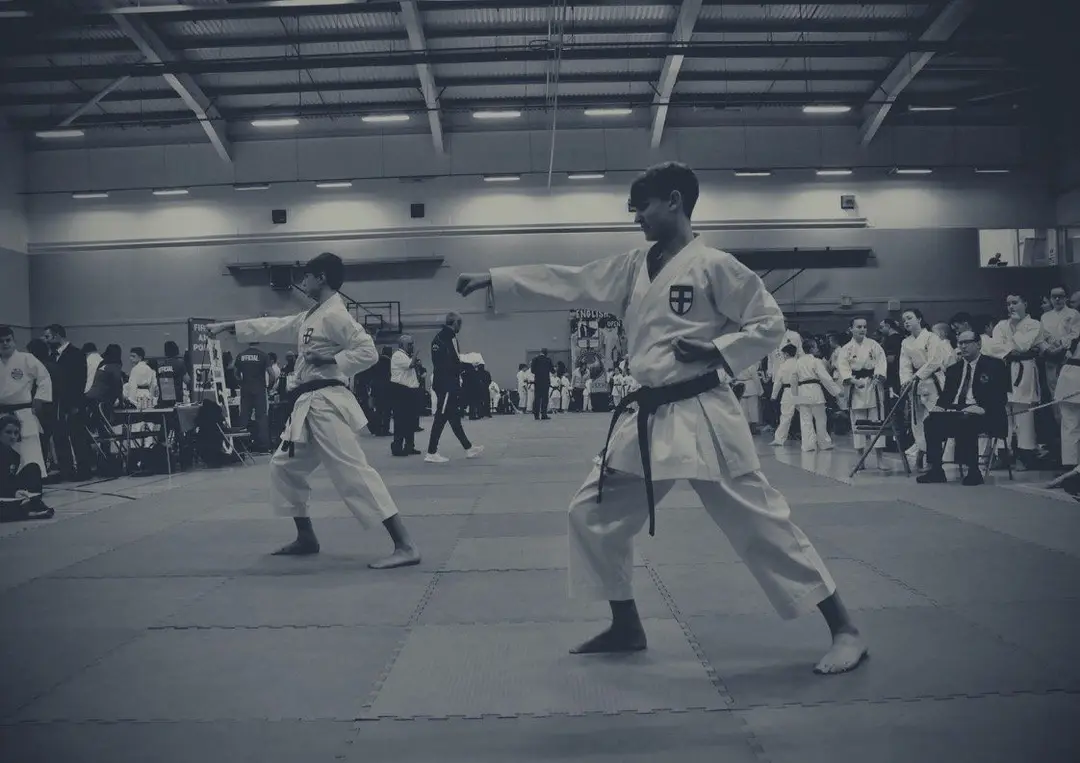 Seishin-do Shukokai Karate