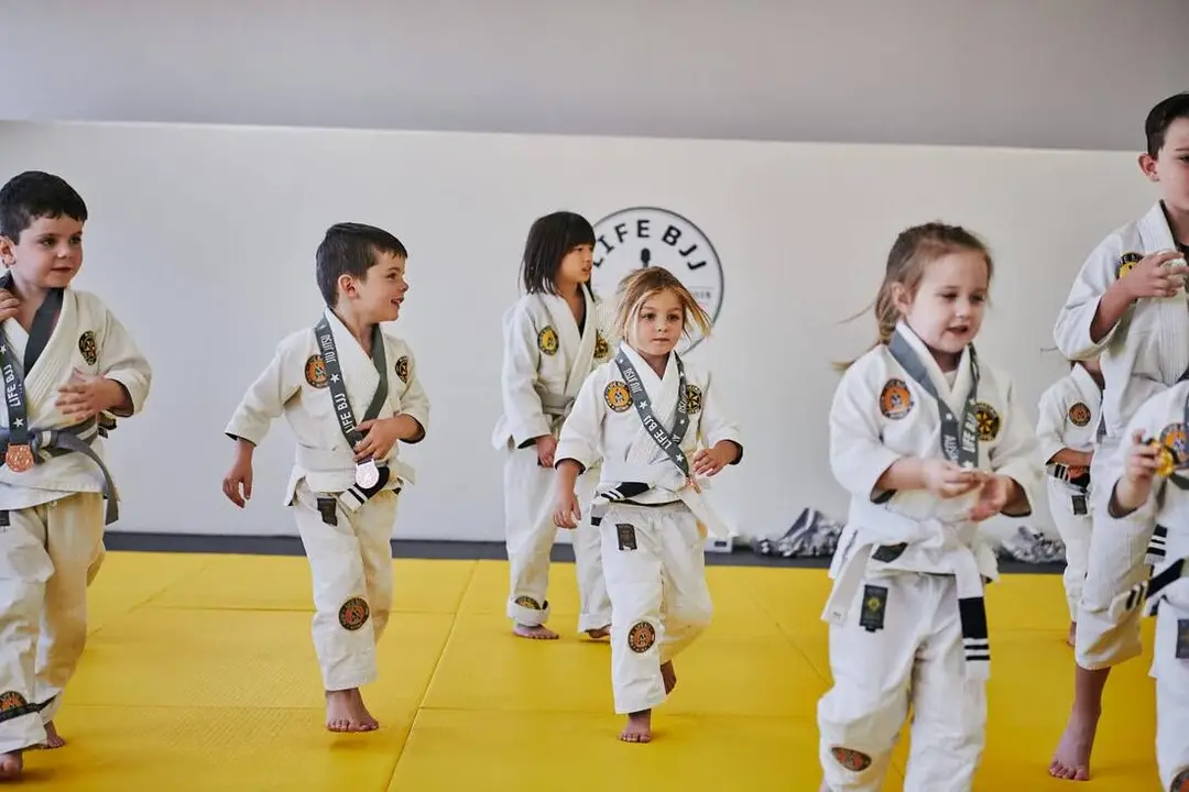 Life BJJ