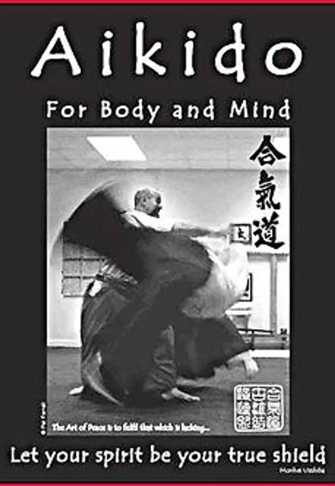 lincoln tai chi