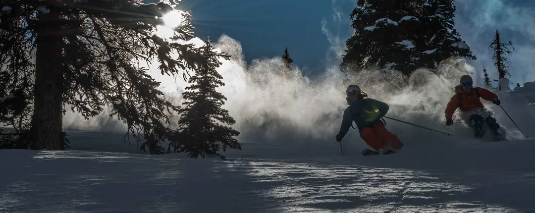 Adrenalin Descents Backcountry Ski Guides