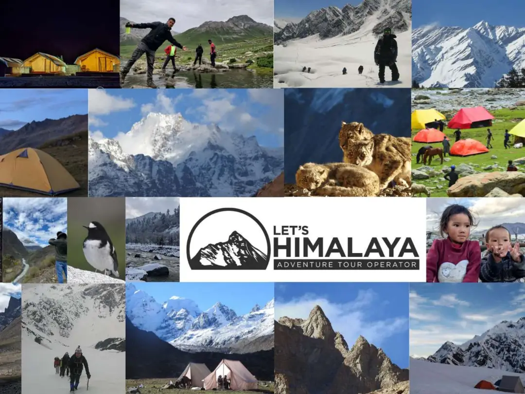 Lets Himalaya