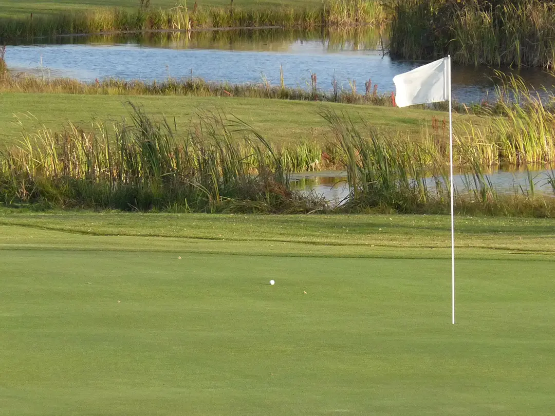 Golf Club Empress