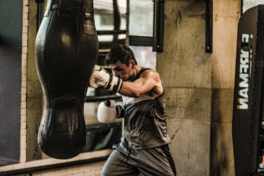 Westchester Amateur Boxing Club