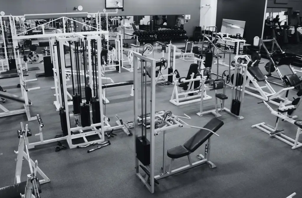 Human Movement Fitness Centre