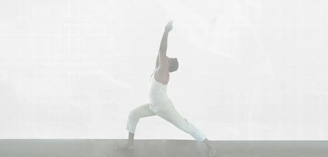 SAMSKRITI YOGA VAIDYA NILAYAM