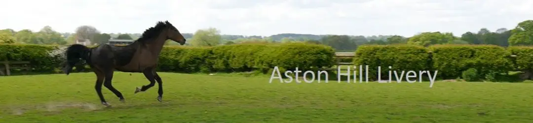 Aston Hill Livery Stables