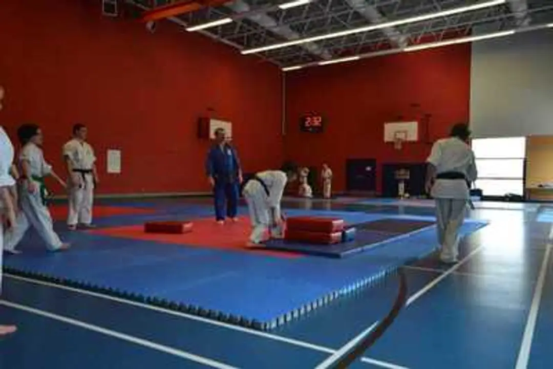 Dragon Aiki Ju Jutsu
