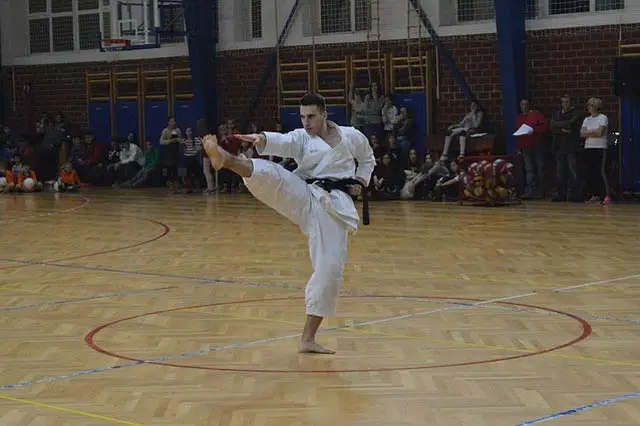 Kung Fu Academy