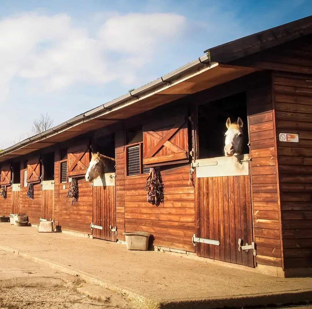 Mells Hill Farm