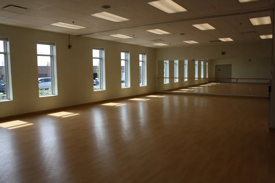 MS2 Dance & Fitness