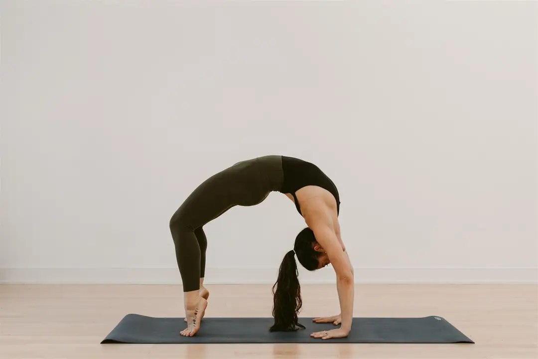 Downward Dog Yoga Centre