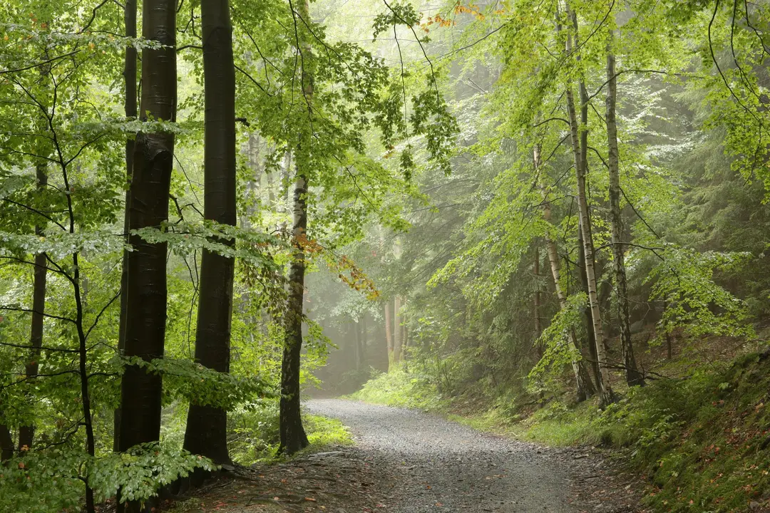 Unfolding Path Yoga and Thai Massage