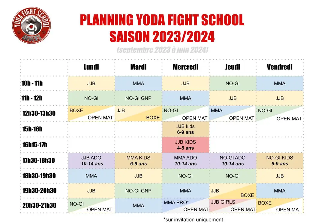 Yoda Fight School