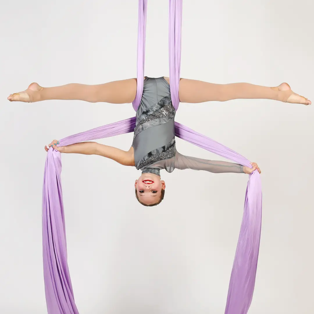En L'air Academy Of Dance And Aerial