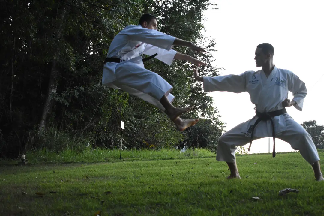 Wushu London Twickenham