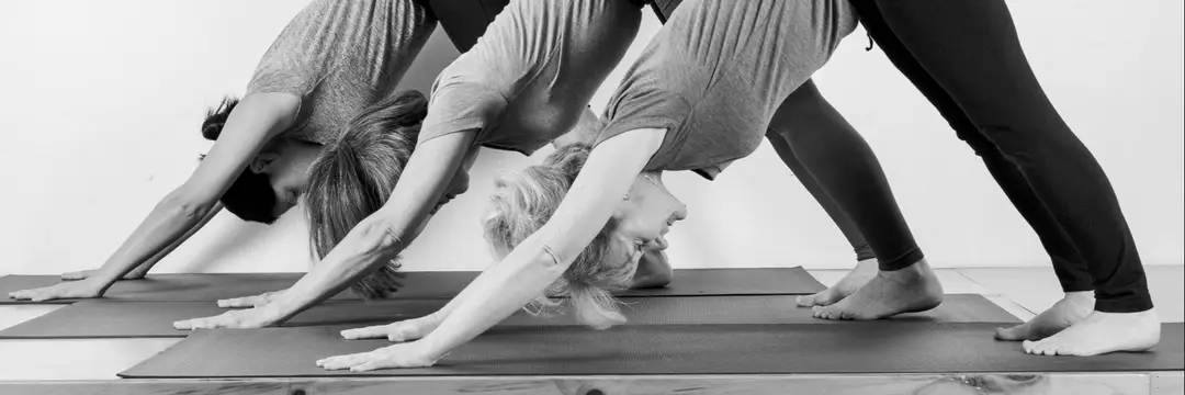 Marrickville Yoga Centre