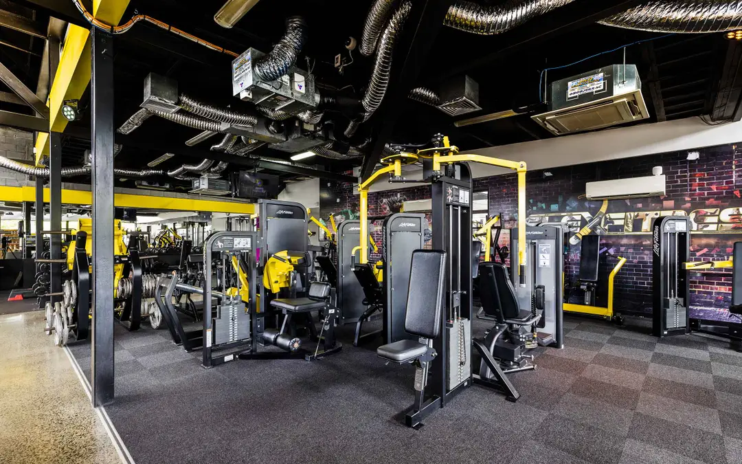 Flex Fitness Morrinsville 24 Hour Gym
