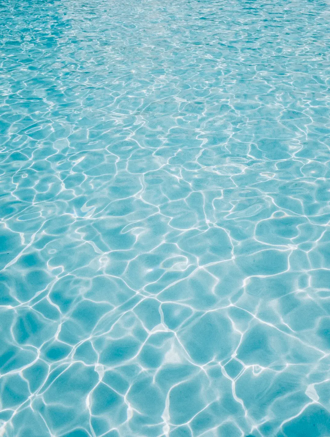 LB Swim School