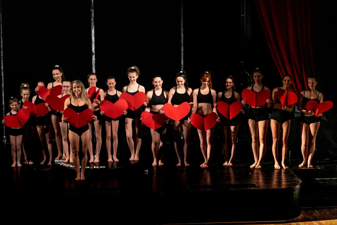 POLE DIVA art vertical dance