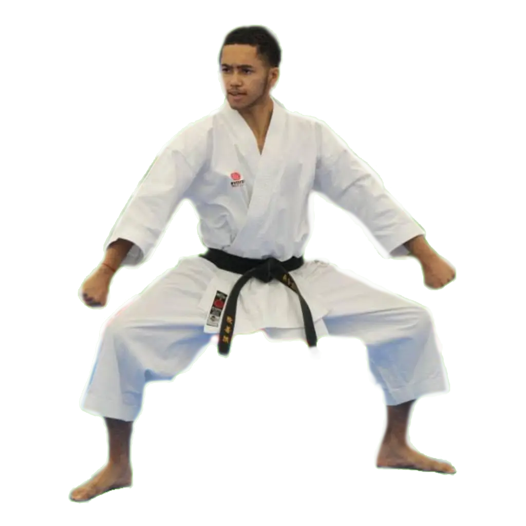 Kaizen Ryu Karate Bow