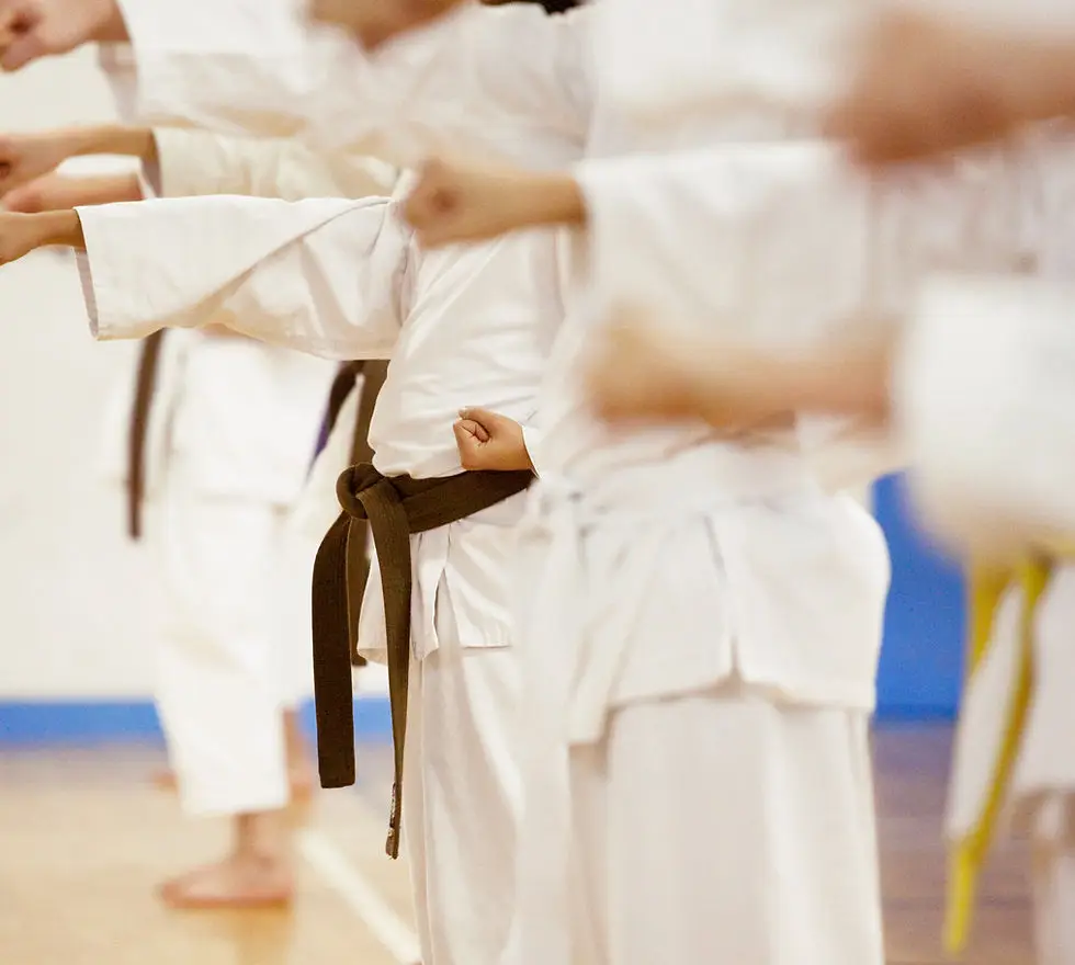 KORYU KARATE