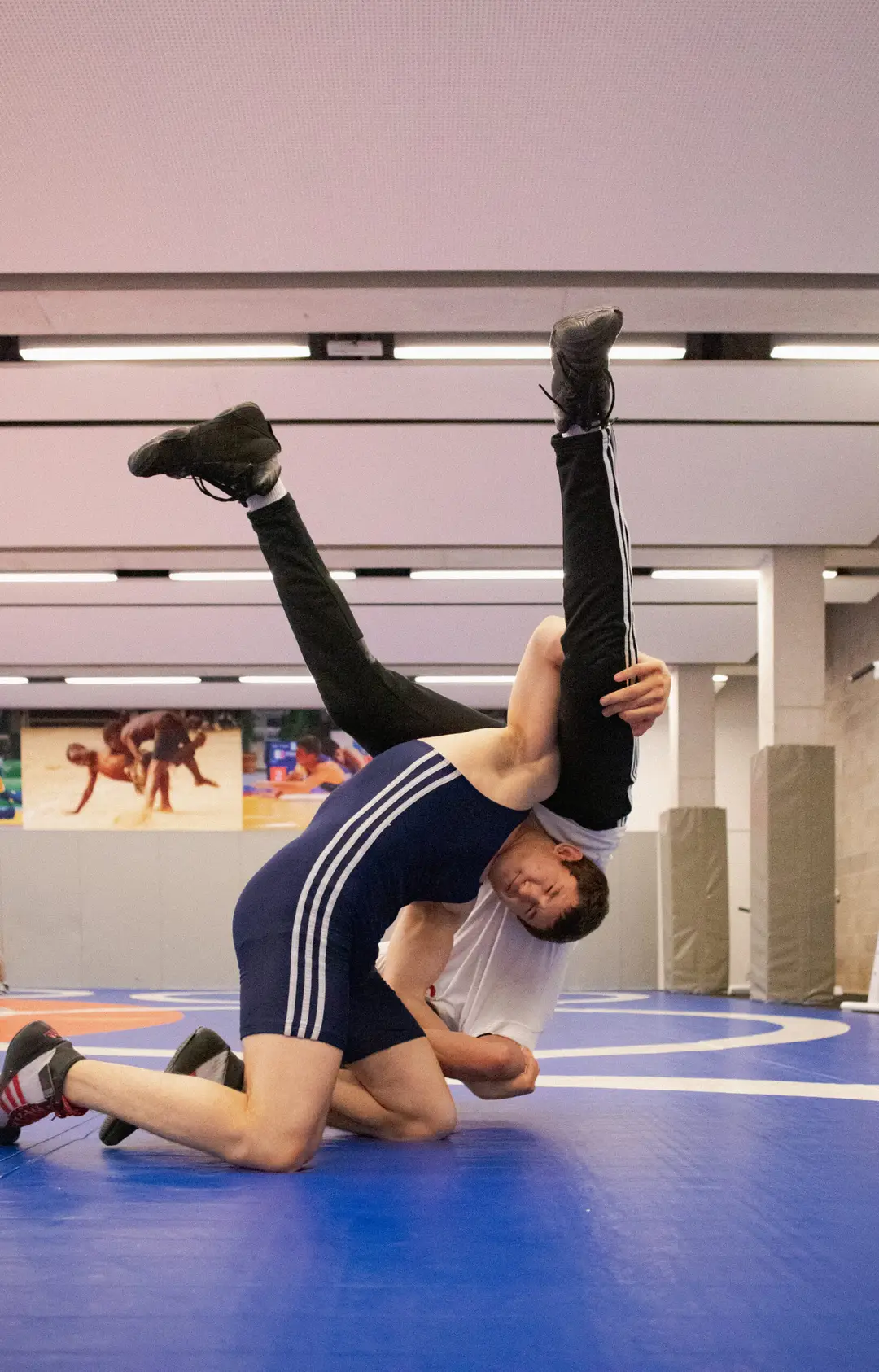Puc Fight