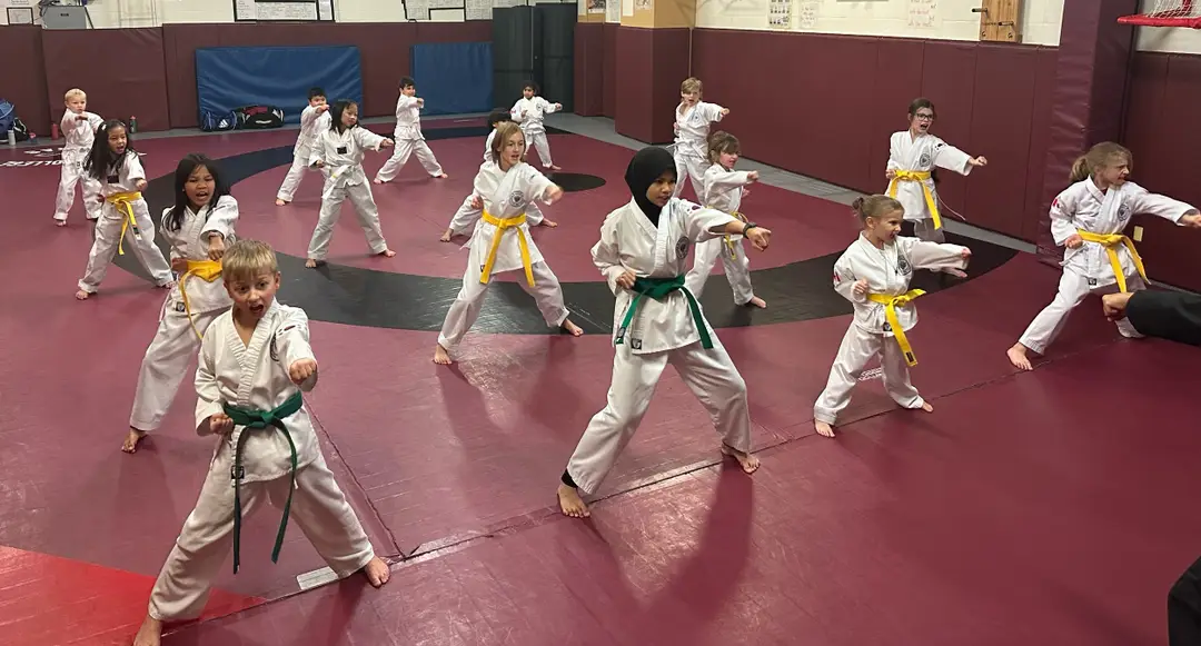 Haechi Traditional Tae Kwon Do