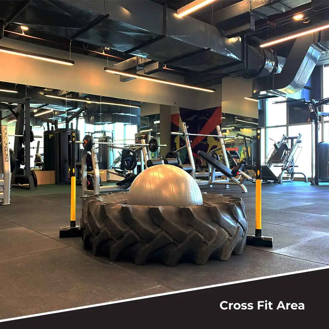 Fitness@D21 | Best Gym in Dwarka | Fitness Gym in Dwarka | Gyms near me