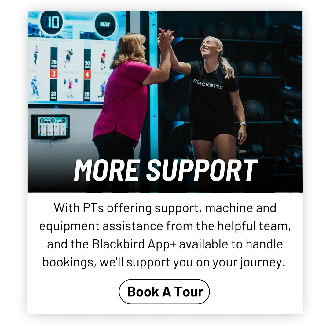 Blackbird Fitness