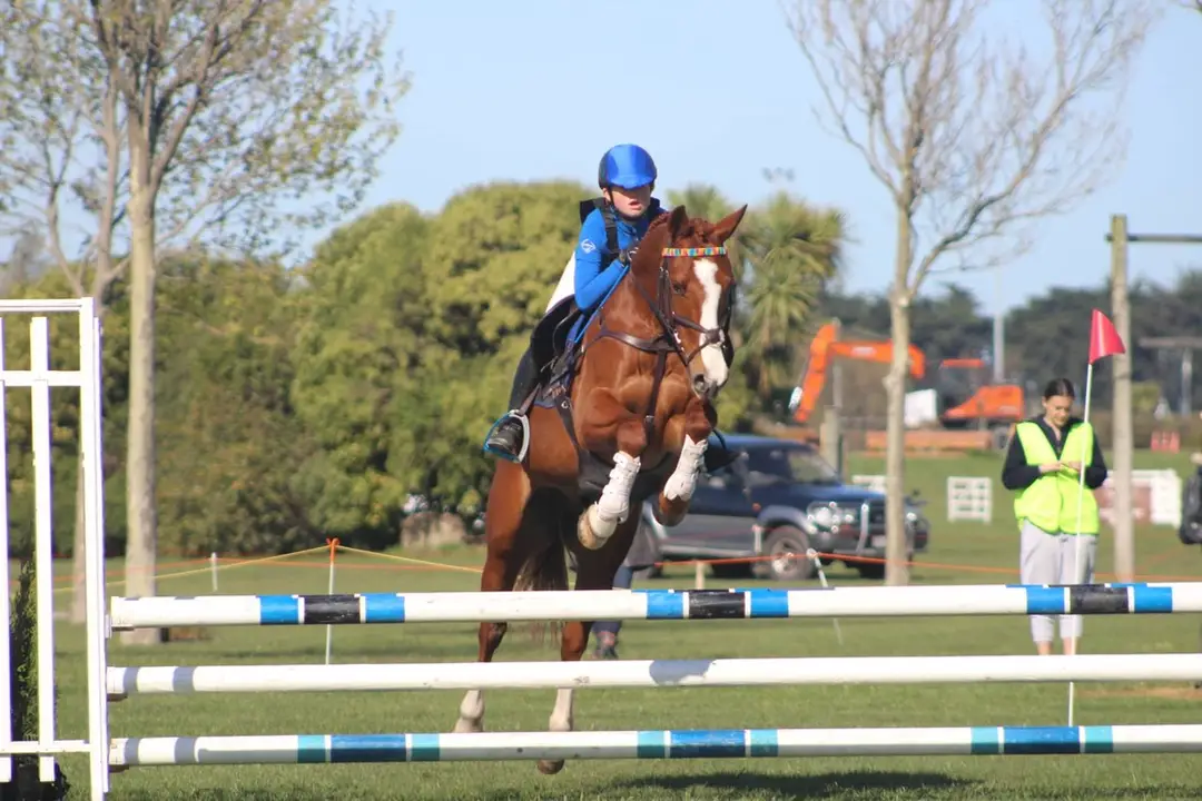 The Giggling Pony Equestrian Centre