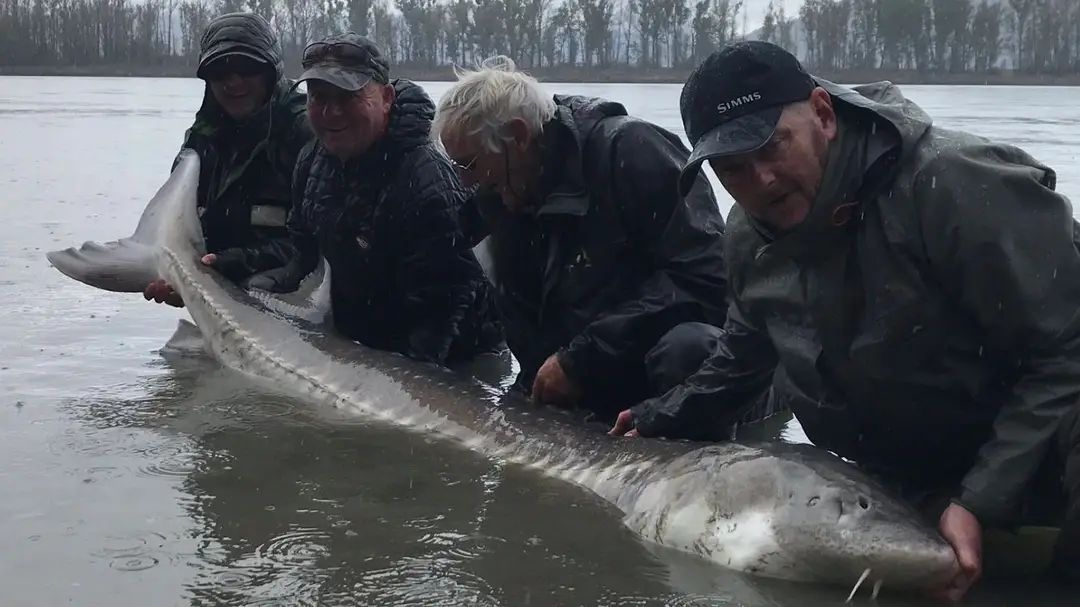 MTM SPORT FISHING