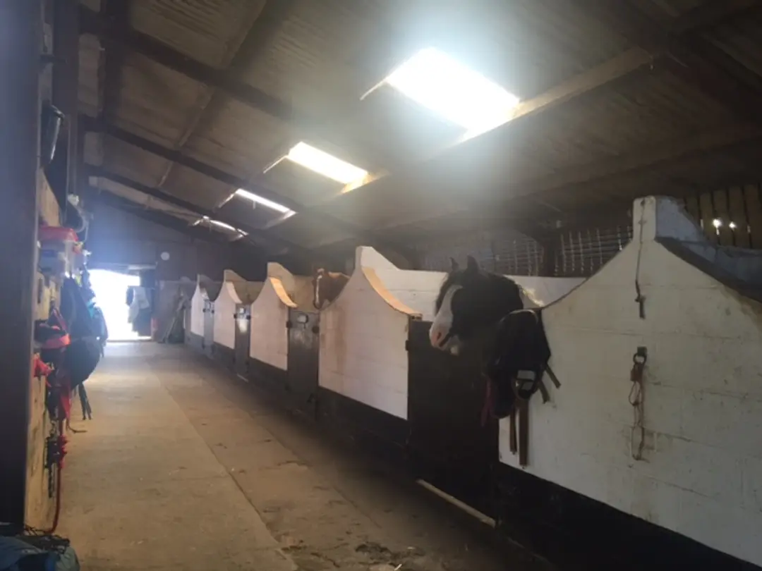Lee Bank Farm & Livery