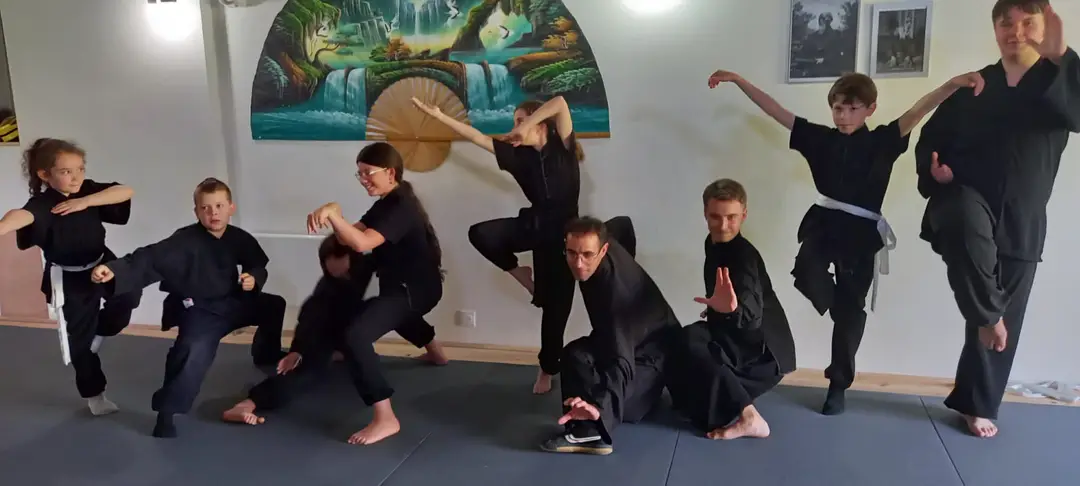 Wushu-Aikido Tarn