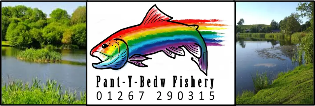 Pantybedw Fishery